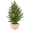 3ft. UV Resistant Olive Cone Topiary Tree in Terra Cotta Planter